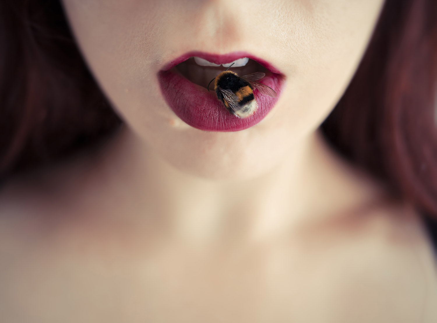 牛子诣的个人主页（背景预览） - 主页背景设置 - 站酷设计师牛子诣原创素材 - 站酷ZCOOL