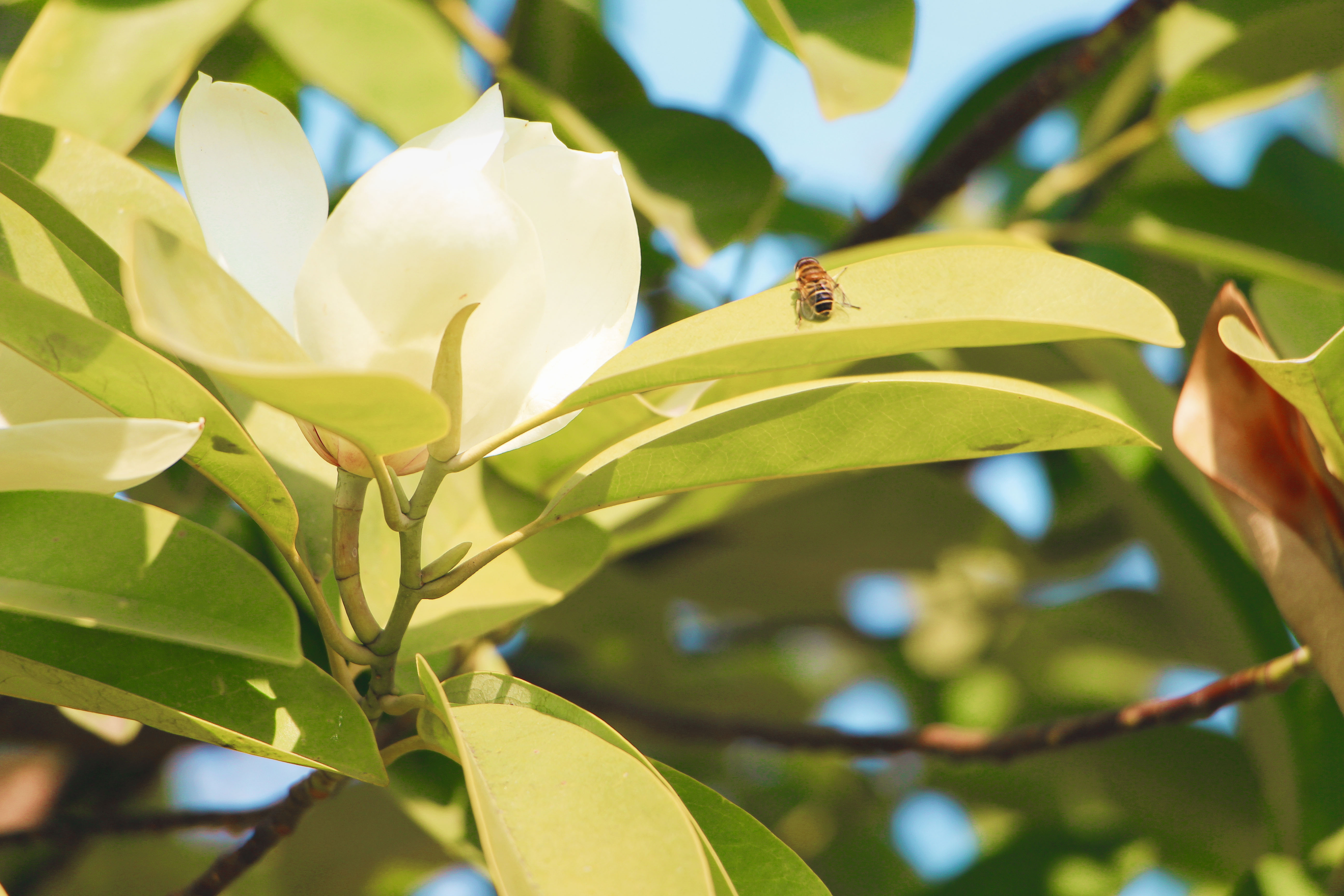 專業(yè)的業(yè)余愛好的個(gè)人主頁（背景預(yù)覽） - 主頁背景設(shè)置 - 站酷設(shè)計(jì)師專業(yè)的業(yè)余愛好原創(chuàng)素材 - 站酷ZCOOL