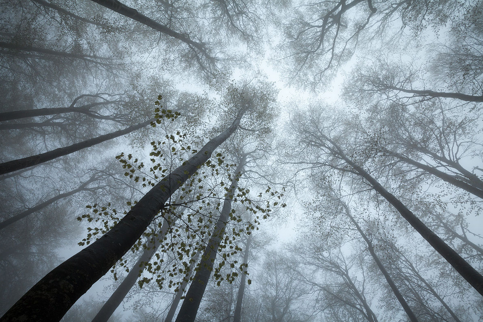 大慧Hhhh的个人主页（背景预览） - 主页背景设置 - 站酷设计师大慧Hhhh原创素材 - 站酷ZCOOL