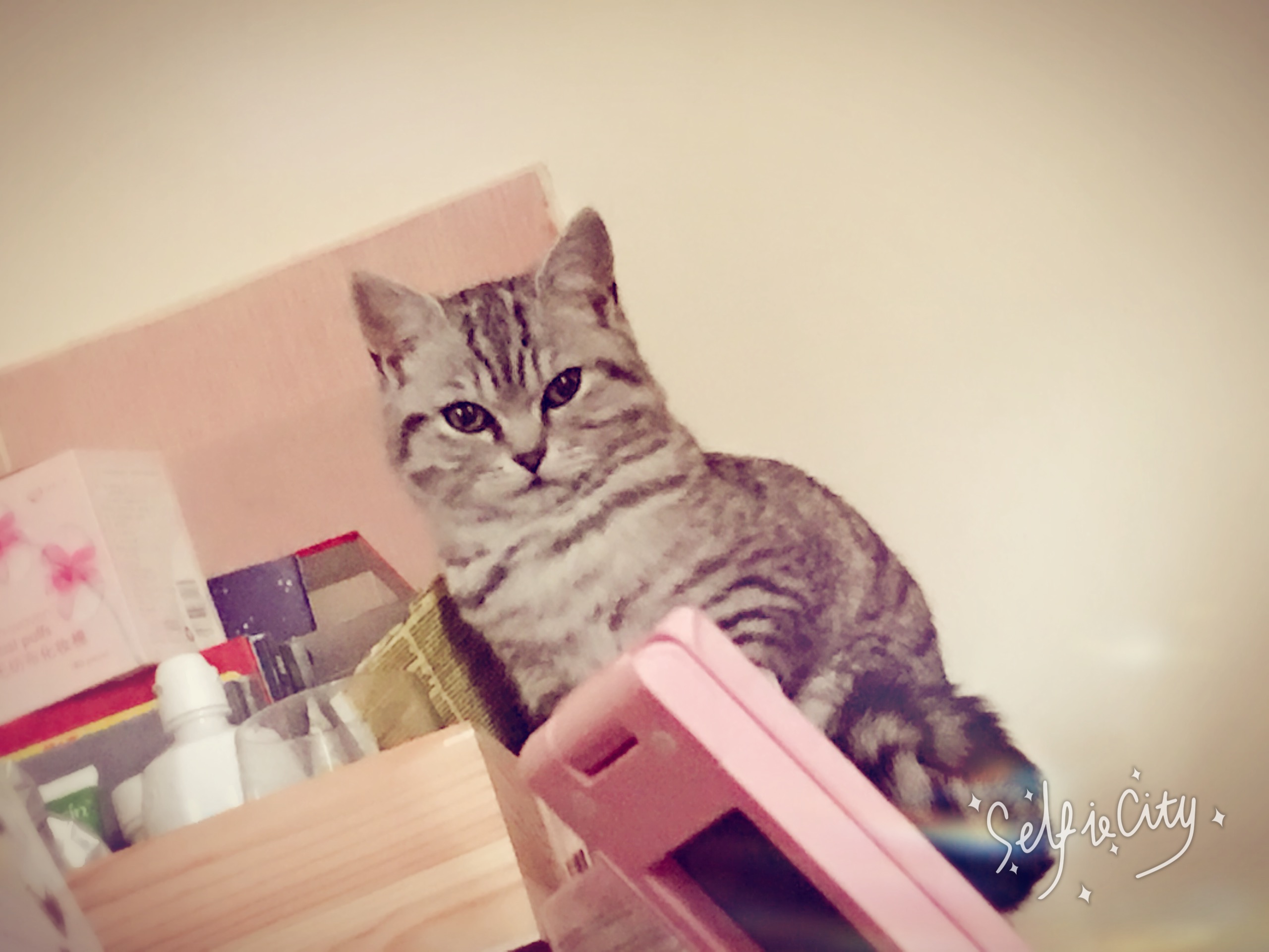 藍(lán)凝心的個(gè)人主頁（背景預(yù)覽） - 主頁背景設(shè)置 - 站酷設(shè)計(jì)師藍(lán)凝心原創(chuàng)素材 - 站酷ZCOOL