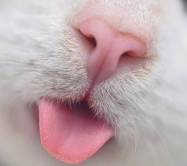 Jack3on的个人主页（背景预览） - 主页背景设置 - 站酷设计师Jack3on原创素材 - 站酷ZCOOL