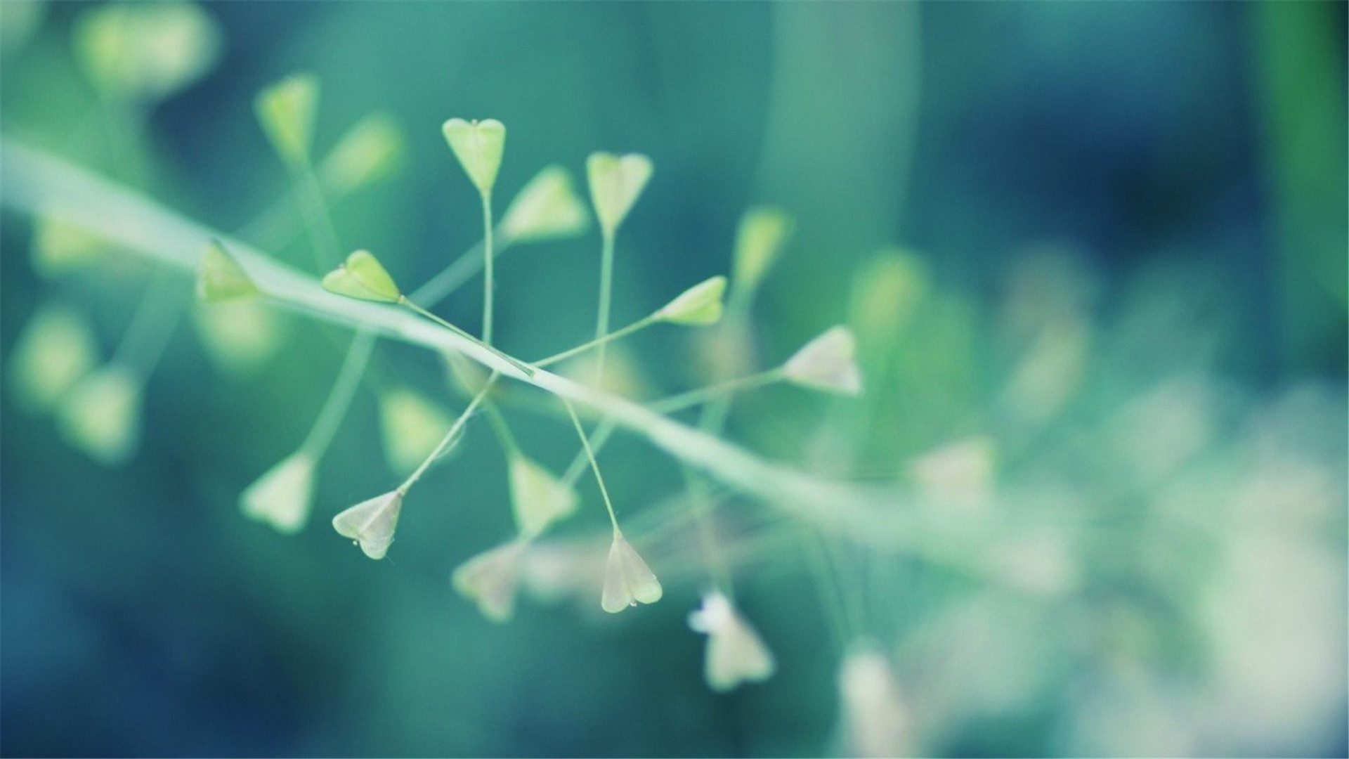 小胖子丶的个人主页（背景预览） - 主页背景设置 - 站酷设计师小胖子丶原创素材 - 站酷ZCOOL