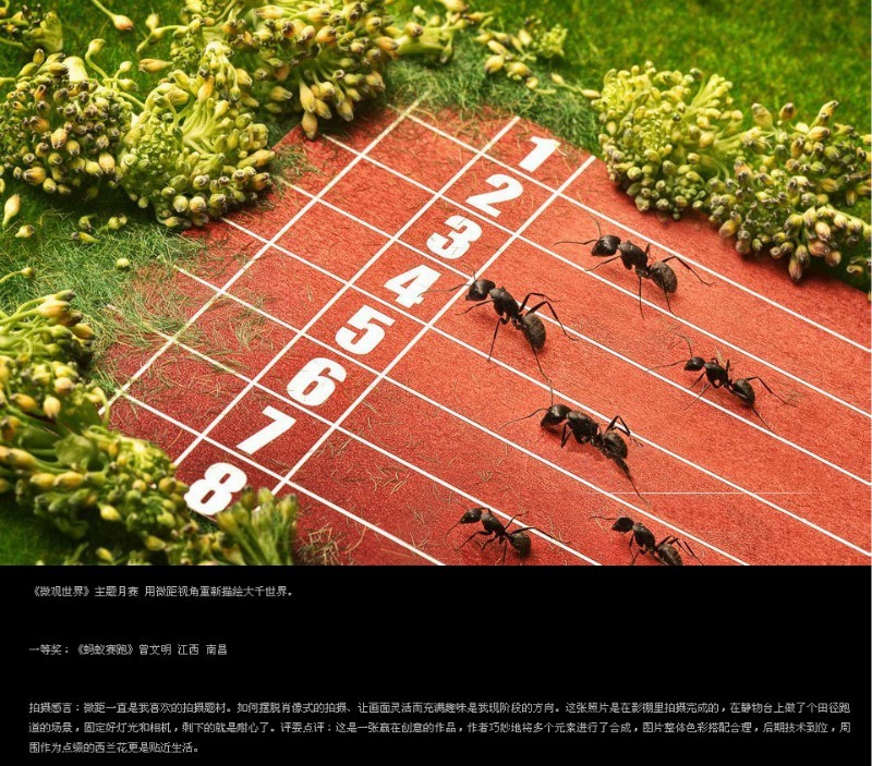 驚塵的個(gè)人主頁(yè)（背景預(yù)覽） - 主頁(yè)背景設(shè)置 - 站酷設(shè)計(jì)師驚塵原創(chuàng)素材 - 站酷ZCOOL