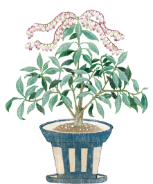 rowingboat的個(gè)人主頁(yè)（背景預(yù)覽） - 主頁(yè)背景設(shè)置 - 站酷設(shè)計(jì)師rowingboat原創(chuàng)素材 - 站酷ZCOOL