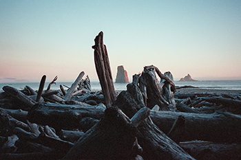 DANCING33的个人主页（背景预览） - 主页背景设置 - 站酷设计师DANCING33原创素材 - 站酷ZCOOL