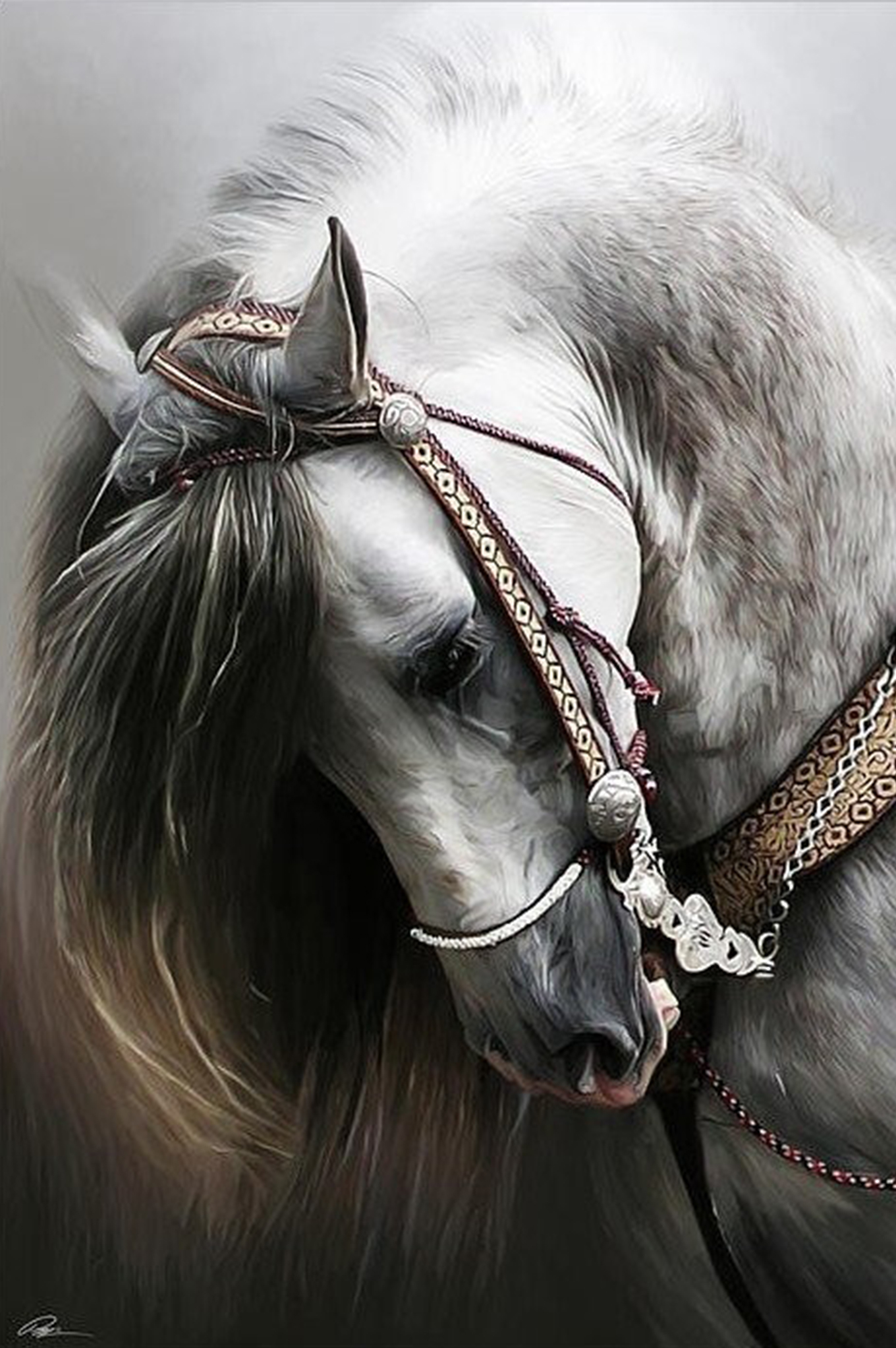 Willen_Wang的个人主页（背景预览） - 主页背景设置 - 站酷设计师Willen_Wang原创素材 - 站酷ZCOOL