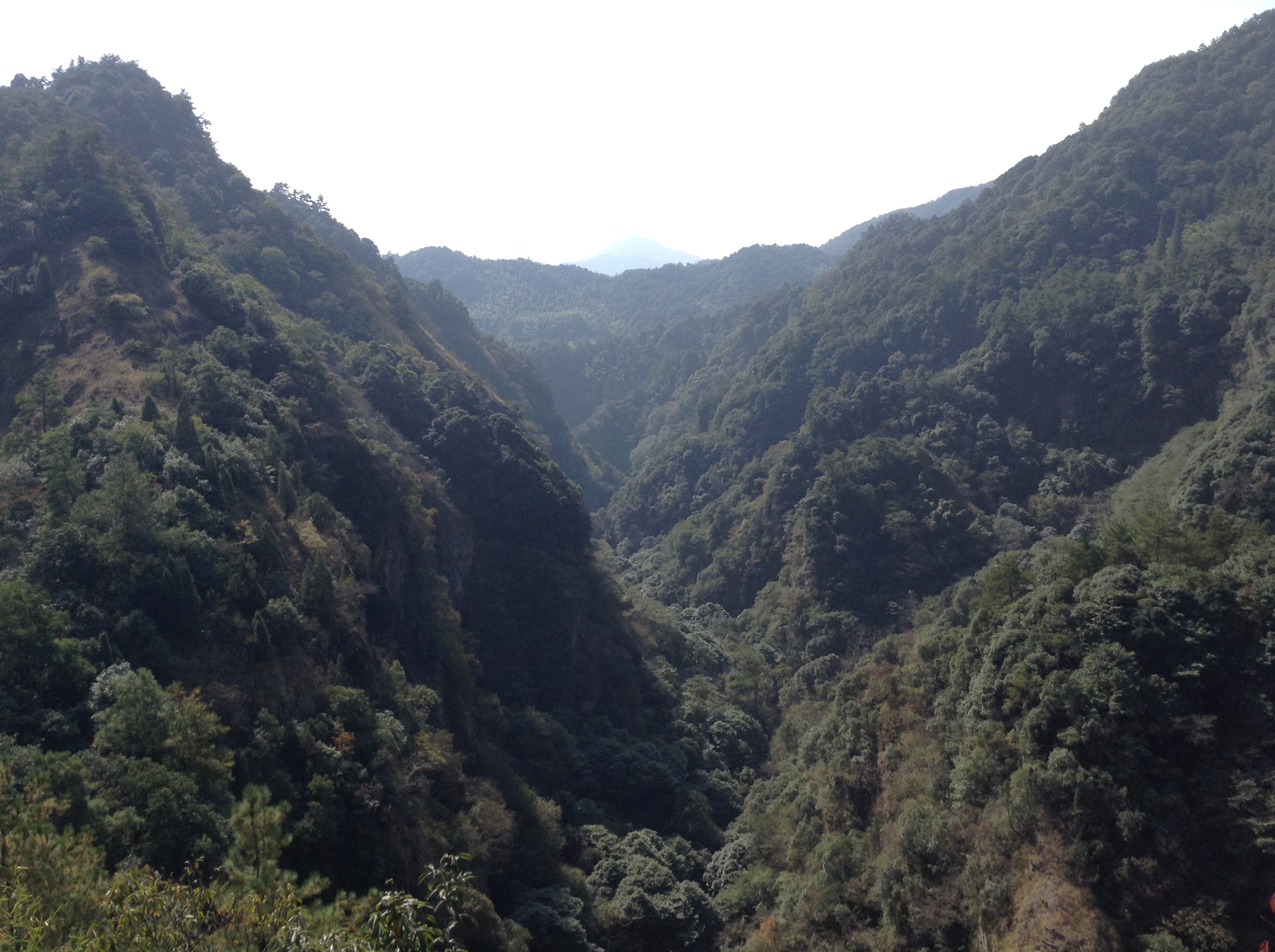 xxg3166的个人主页（背景预览） - 主页背景设置 - 站酷设计师xxg3166原创素材 - 站酷ZCOOL