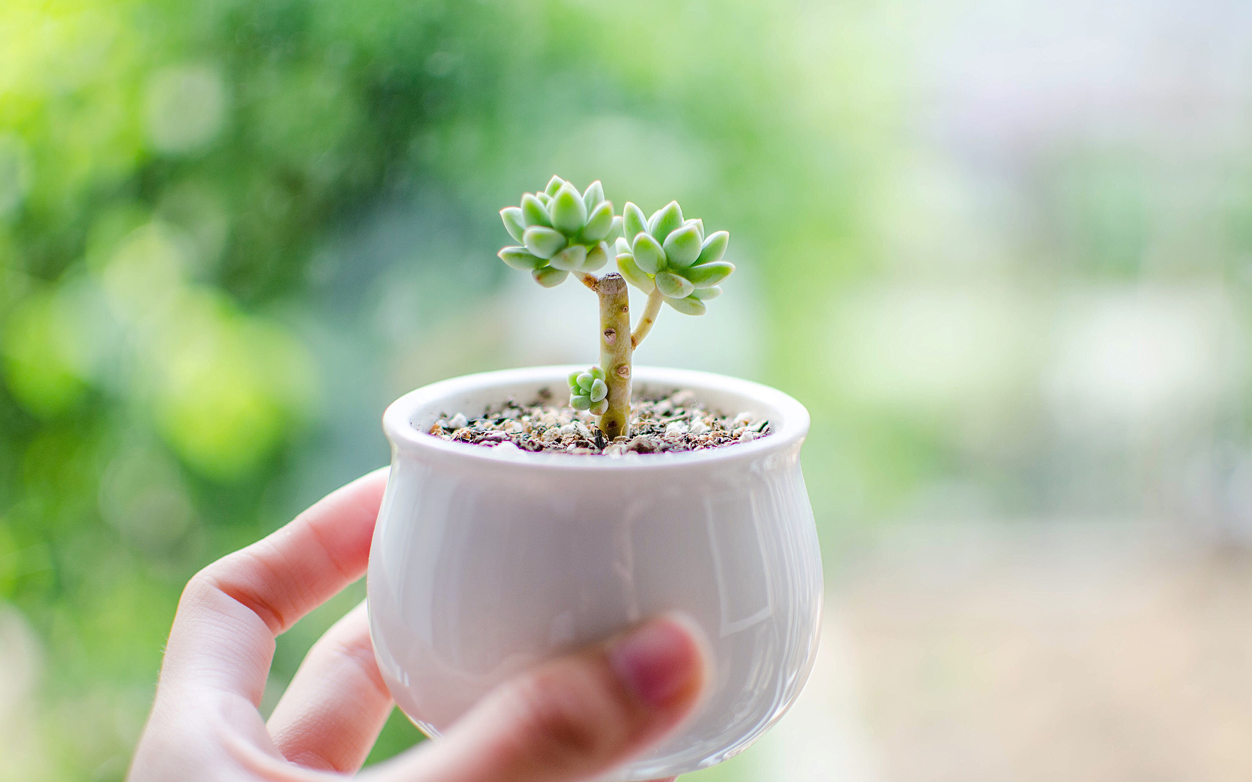 小熊的夏天的个人主页（背景预览） - 主页背景设置 - 站酷设计师小熊的夏天原创素材 - 站酷ZCOOL