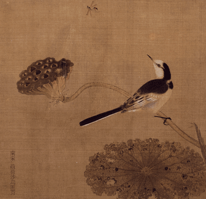 固十的個(gè)人主頁(yè)（背景預(yù)覽） - 主頁(yè)背景設(shè)置 - 站酷設(shè)計(jì)師固十原創(chuàng)素材 - 站酷ZCOOL