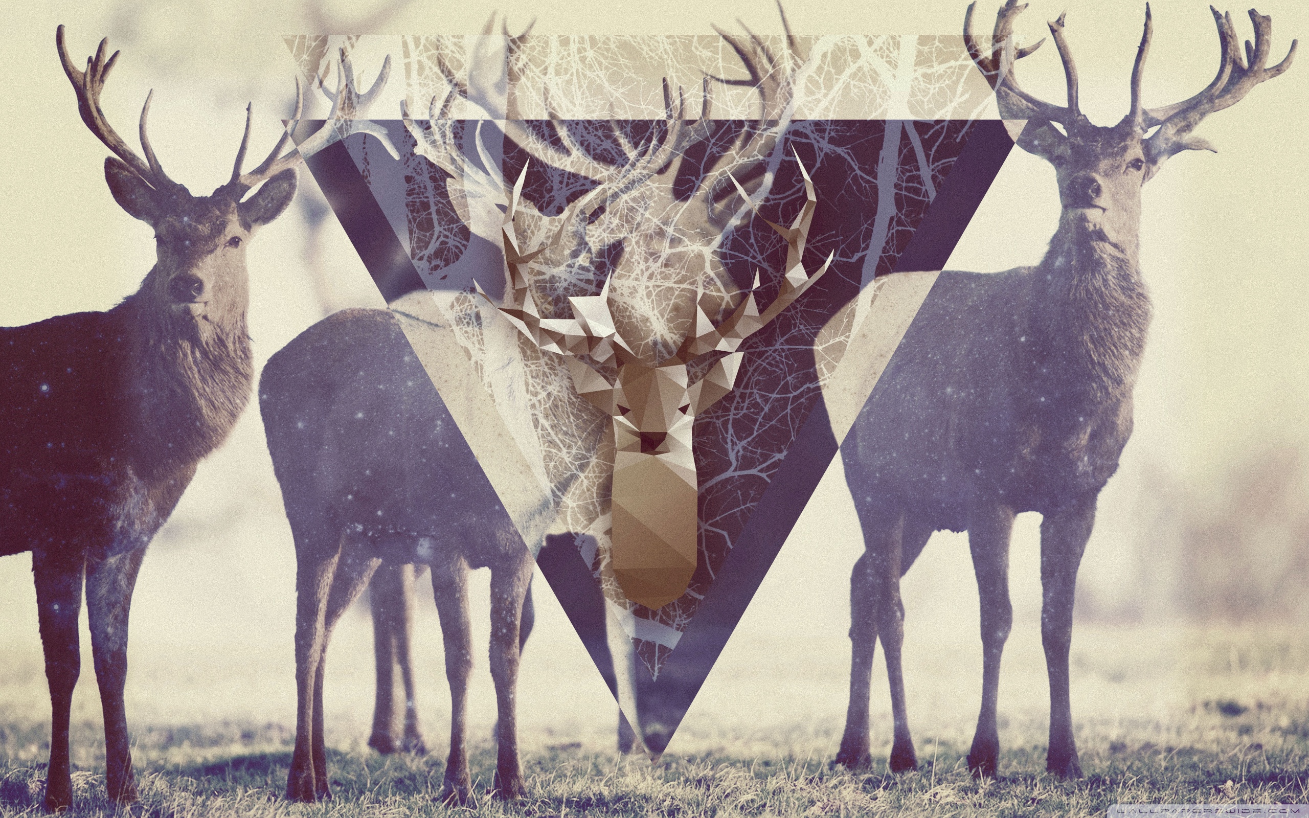 Nontaly的個(gè)人主頁（背景預(yù)覽） - 主頁背景設(shè)置 - 站酷設(shè)計(jì)師Nontaly原創(chuàng)素材 - 站酷ZCOOL