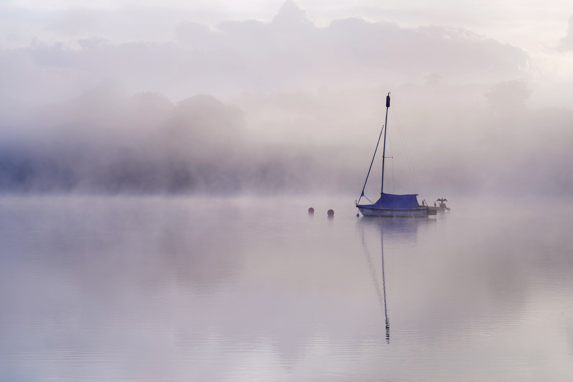 淚涸的個人主頁（背景預覽） - 主頁背景設置 - 站酷設計師淚涸原創(chuàng)素材 - 站酷ZCOOL