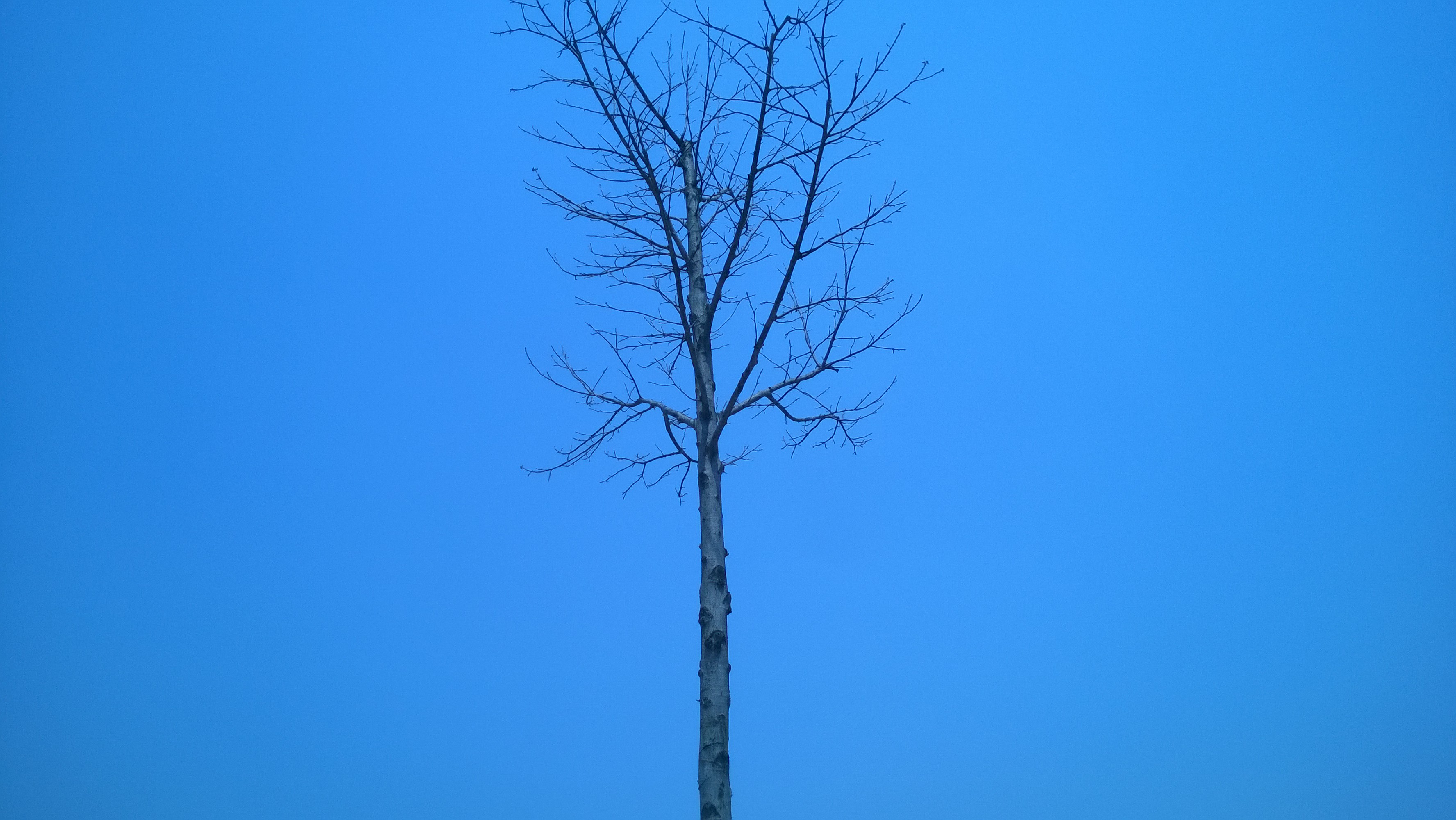 L___的个人主页（背景预览） - 主页背景设置 - 站酷设计师L___原创素材 - 站酷ZCOOL