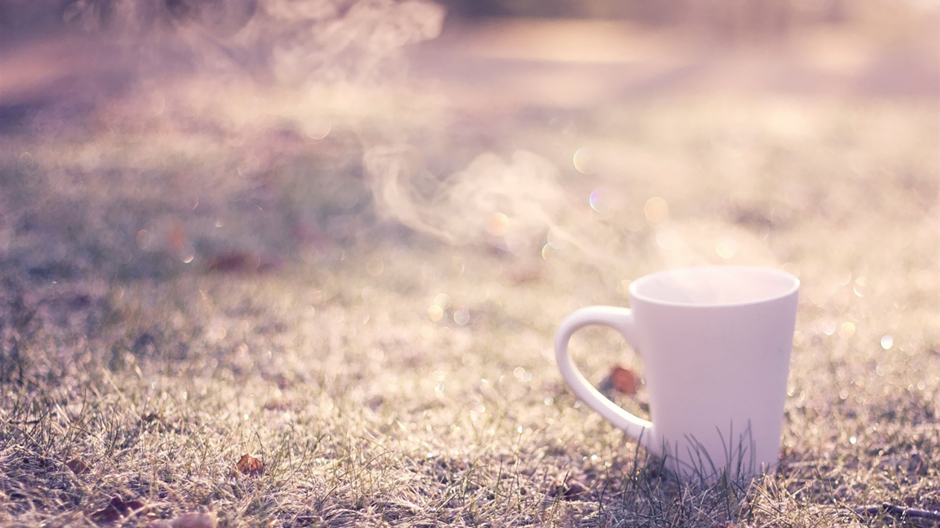 初心勿忘yy的个人主页（背景预览） - 主页背景设置 - 站酷设计师初心勿忘yy原创素材 - 站酷ZCOOL
