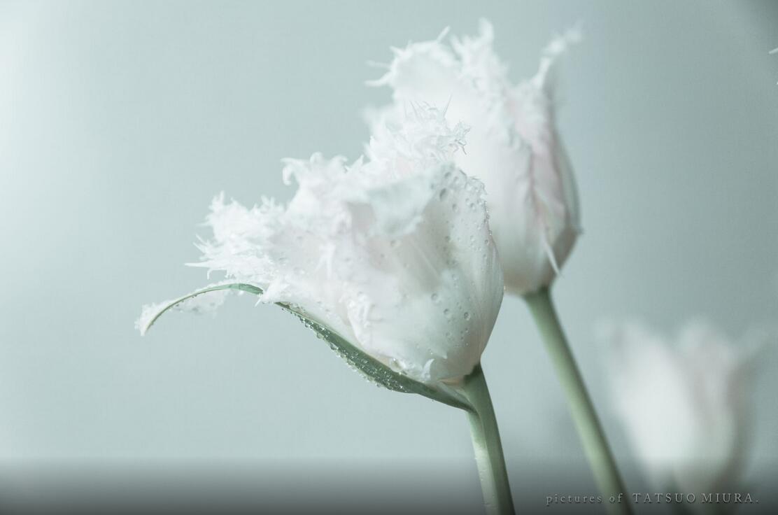 存在之安之若素的个人主页（背景预览） - 主页背景设置 - 站酷设计师存在之安之若素原创素材 - 站酷ZCOOL