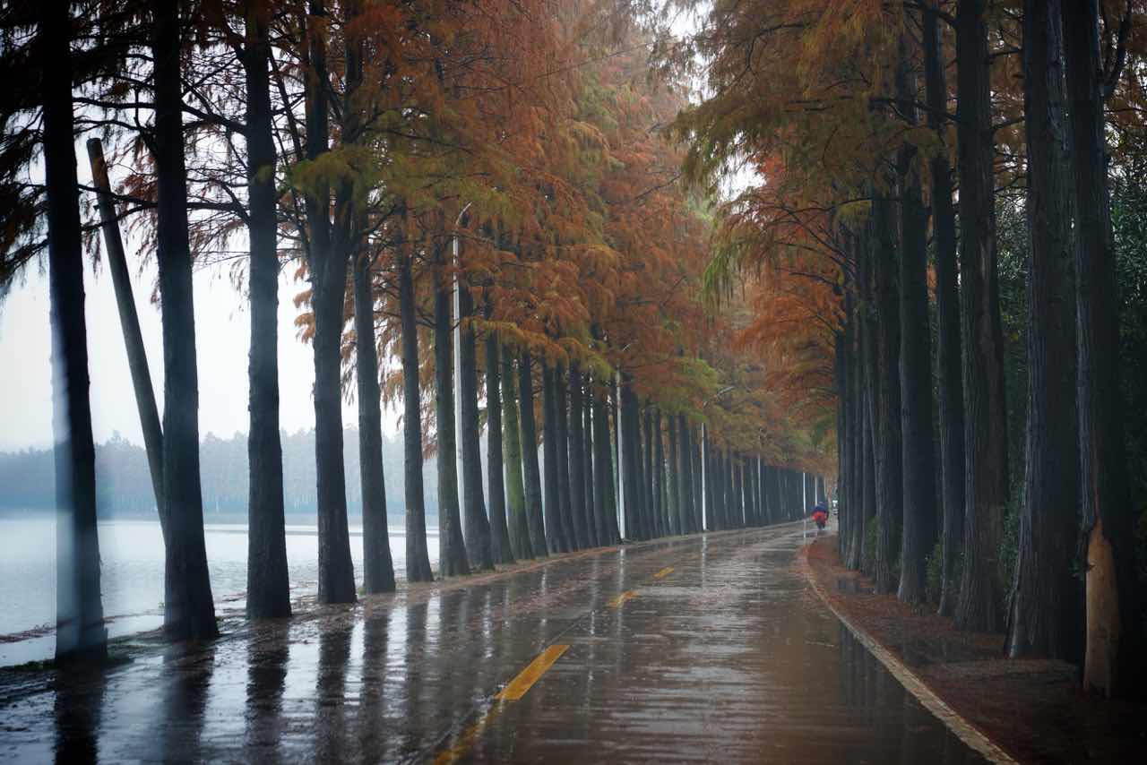 青木321的个人主页（背景预览） - 主页背景设置 - 站酷设计师青木321原创素材 - 站酷ZCOOL