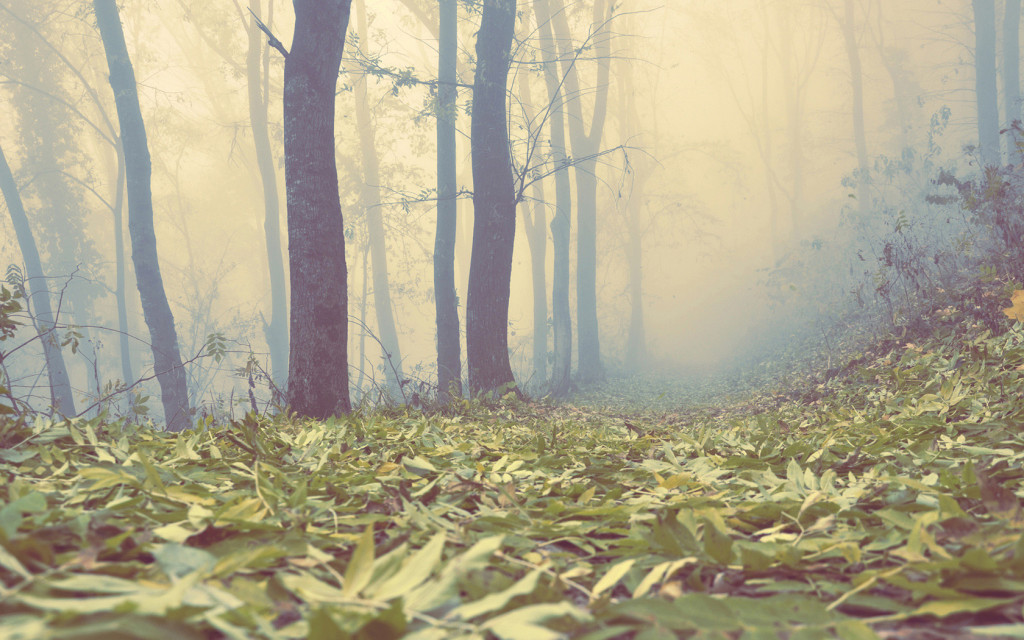 阿拉蕾李啦哩的個(gè)人主頁（背景預(yù)覽） - 主頁背景設(shè)置 - 站酷設(shè)計(jì)師阿拉蕾李啦哩原創(chuàng)素材 - 站酷ZCOOL