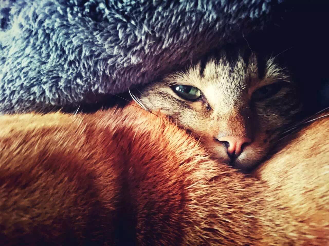 青逗的个人主页（背景预览） - 主页背景设置 - 站酷设计师青逗原创素材 - 站酷ZCOOL