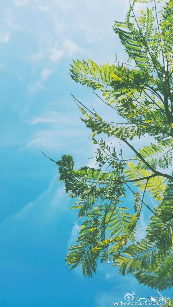一枚仙人掌的个人主页(背景预览) - 主页背景设置 - 站酷设计师一枚仙人掌原创素材 - 站酷ZCOOL
