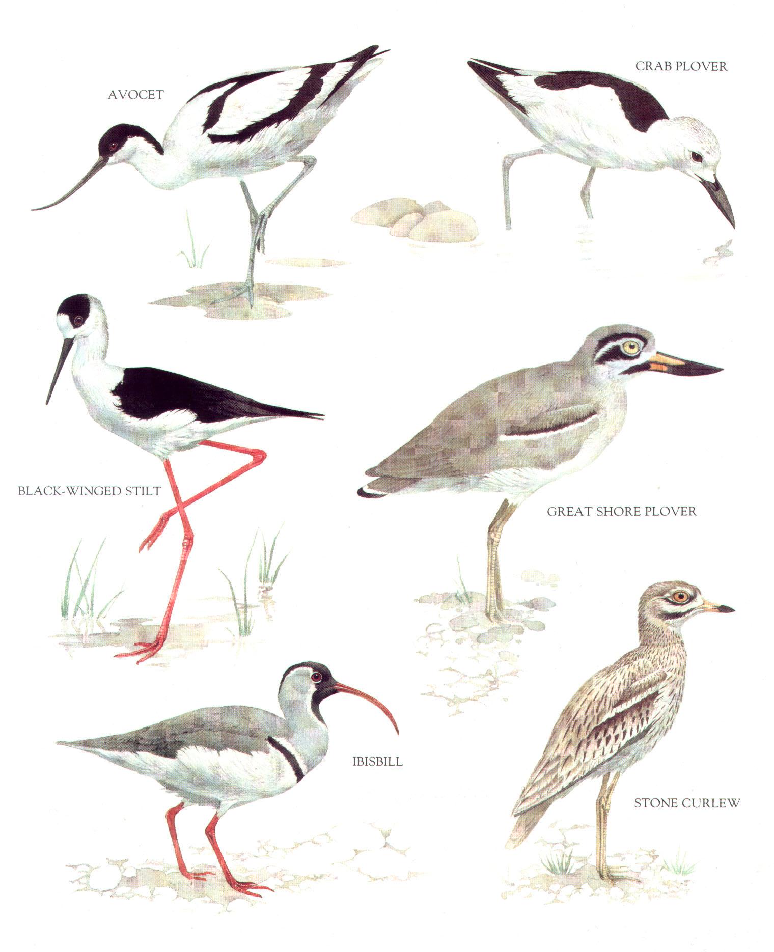 Wendyyyyyy的個(gè)人主頁（背景預(yù)覽） - 主頁背景設(shè)置 - 站酷設(shè)計(jì)師Wendyyyyyy原創(chuàng)素材 - 站酷ZCOOL