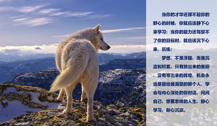 pmmtchym的个人主页（背景预览） - 主页背景设置 - 站酷设计师pmmtchym原创素材 - 站酷ZCOOL