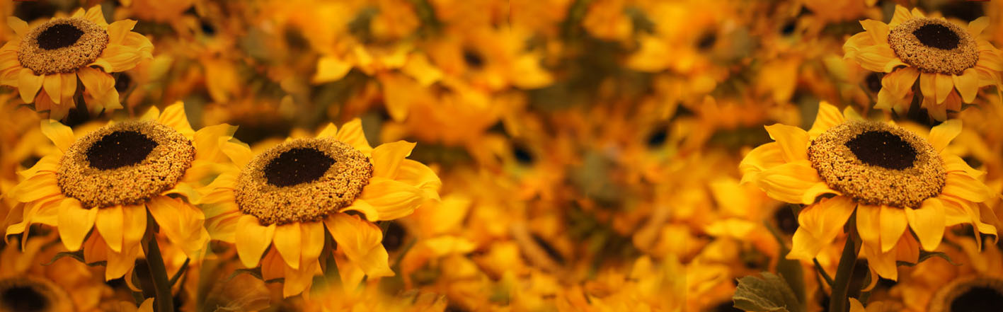 北京猫凉的个人主页（背景预览） - 主页背景设置 - 站酷设计师北京猫凉原创素材 - 站酷ZCOOL