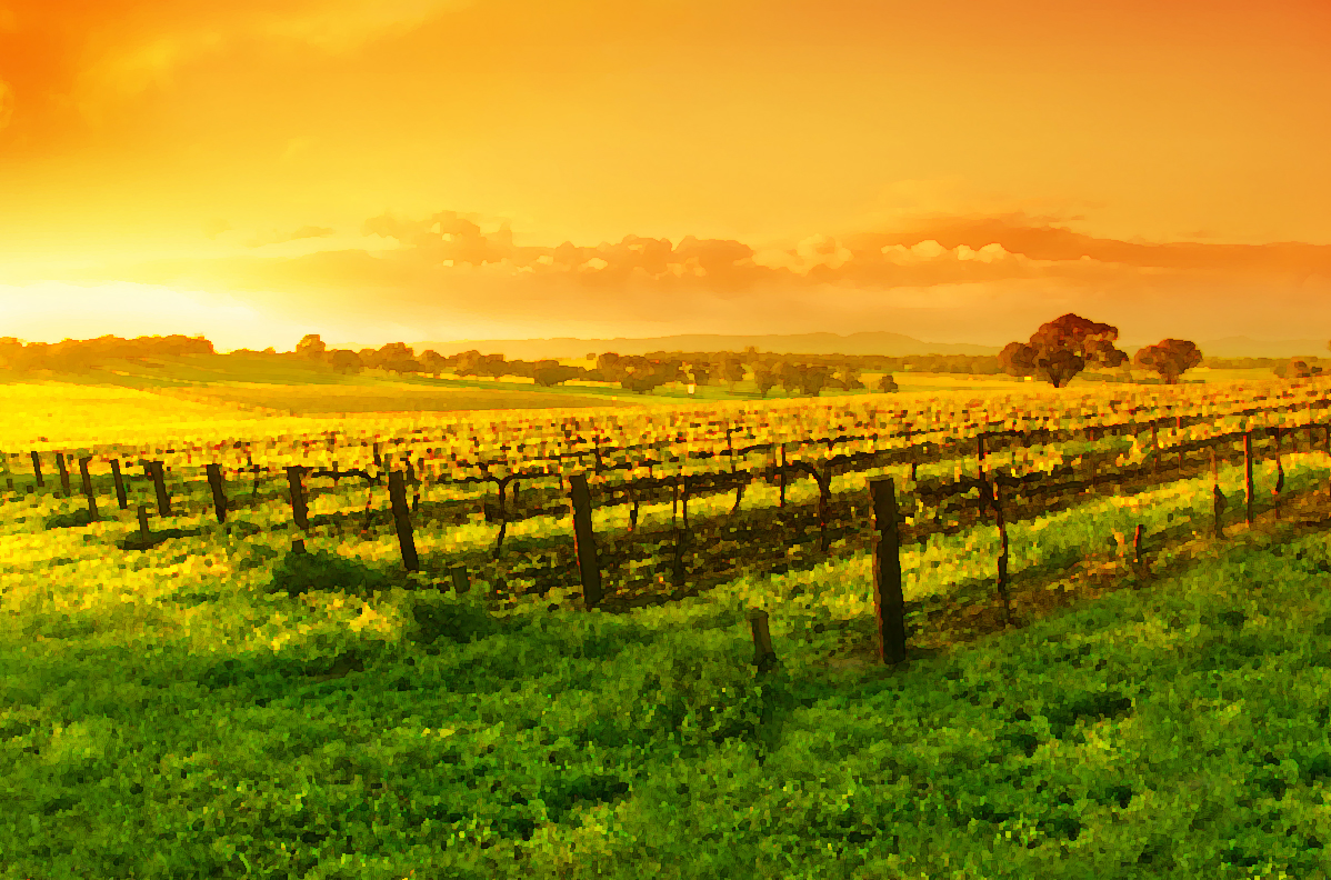 qinxbl的個(gè)人主頁（背景預(yù)覽） - 主頁背景設(shè)置 - 站酷設(shè)計(jì)師qinxbl原創(chuàng)素材 - 站酷ZCOOL