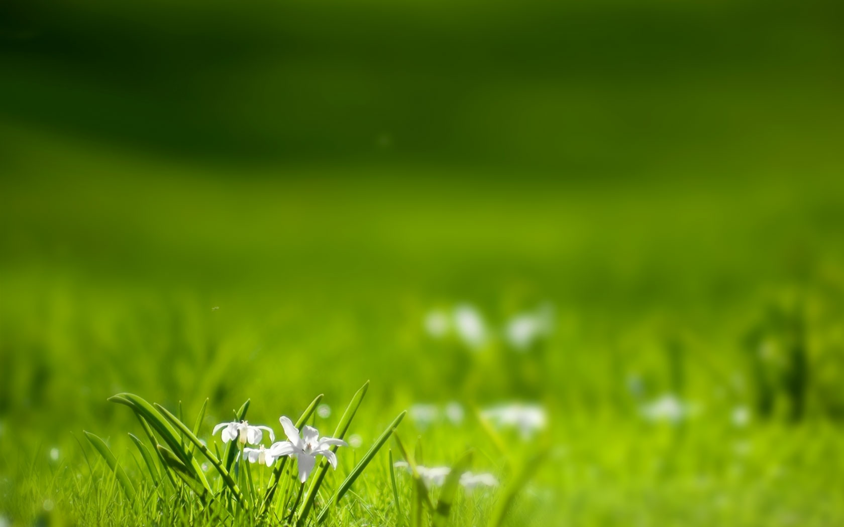 davidway的個人主頁（背景預(yù)覽） - 主頁背景設(shè)置 - 站酷設(shè)計師davidway原創(chuàng)素材 - 站酷ZCOOL