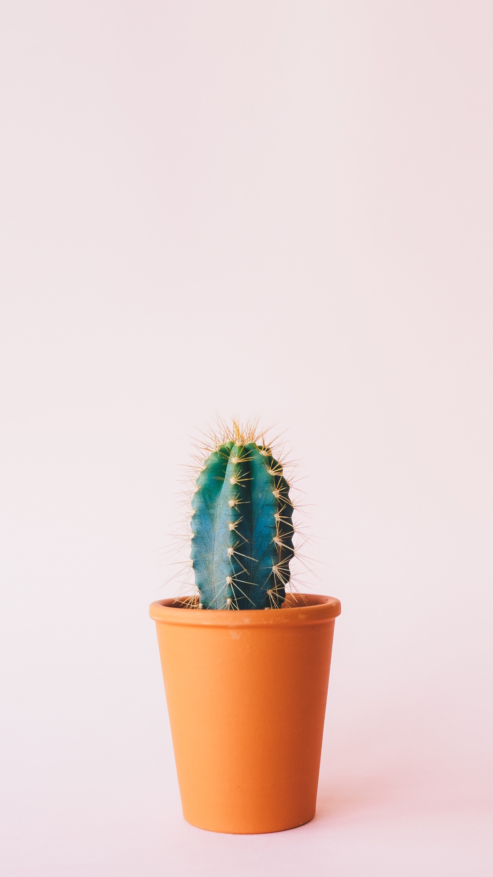 Derekbong的个人主页（背景预览） - 主页背景设置 - 站酷设计师Derekbong原创素材 - 站酷ZCOOL