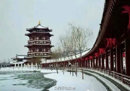 糖西乔奇的个人主页（背景预览） - 主页背景设置 - 站酷设计师糖西乔奇原创素材 - 站酷ZCOOL