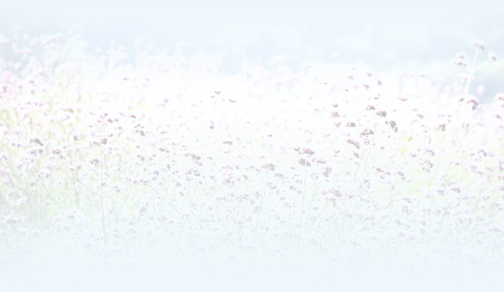 智慧opal的个人主页（背景预览） - 主页背景设置 - 站酷设计师智慧opal原创素材 - 站酷ZCOOL