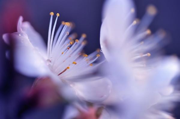 H蝴蝶的顏色的個人主頁（背景預覽） - 主頁背景設置 - 站酷設計師H蝴蝶的顏色原創(chuàng)素材 - 站酷ZCOOL