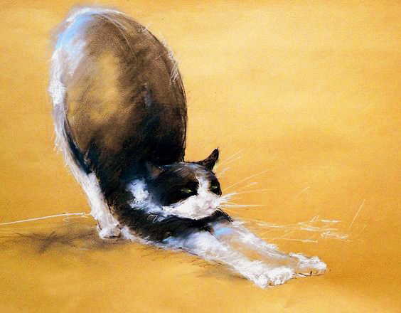 ctt5201314的个人主页（背景预览） - 主页背景设置 - 站酷设计师ctt5201314原创素材 - 站酷ZCOOL