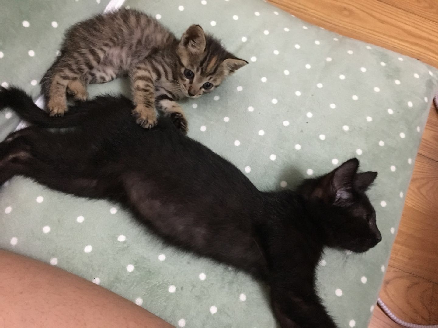 喜帆的个人主页（背景预览） - 主页背景设置 - 站酷设计师喜帆原创素材 - 站酷ZCOOL