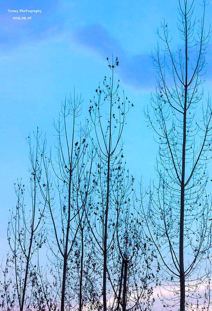 汤尼陈的个人主页（背景预览） - 主页背景设置 - 站酷设计师汤尼陈原创素材 - 站酷ZCOOL