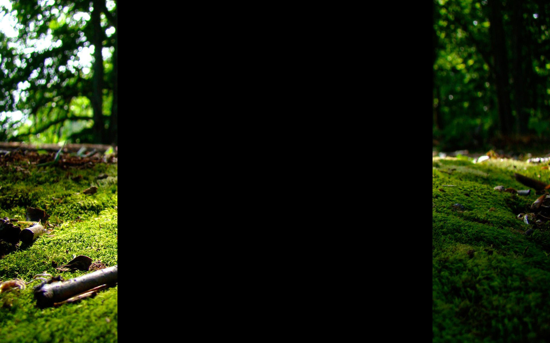 I洱海不是海I的個人主頁（背景預(yù)覽） - 主頁背景設(shè)置 - 站酷設(shè)計師I洱海不是海I原創(chuàng)素材 - 站酷ZCOOL