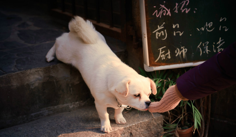 夢(mèng)里Joe的個(gè)人主頁(yè)（背景預(yù)覽） - 主頁(yè)背景設(shè)置 - 站酷設(shè)計(jì)師夢(mèng)里Joe原創(chuàng)素材 - 站酷ZCOOL