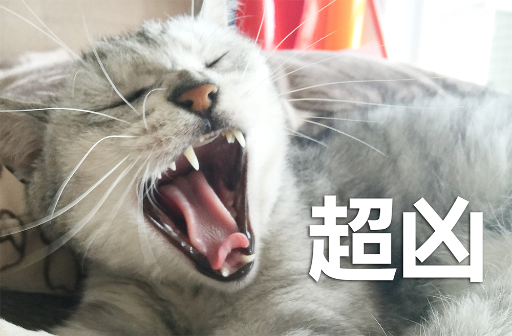 王木木Lynn的个人主页（背景预览） - 主页背景设置 - 站酷设计师王木木Lynn原创素材 - 站酷ZCOOL