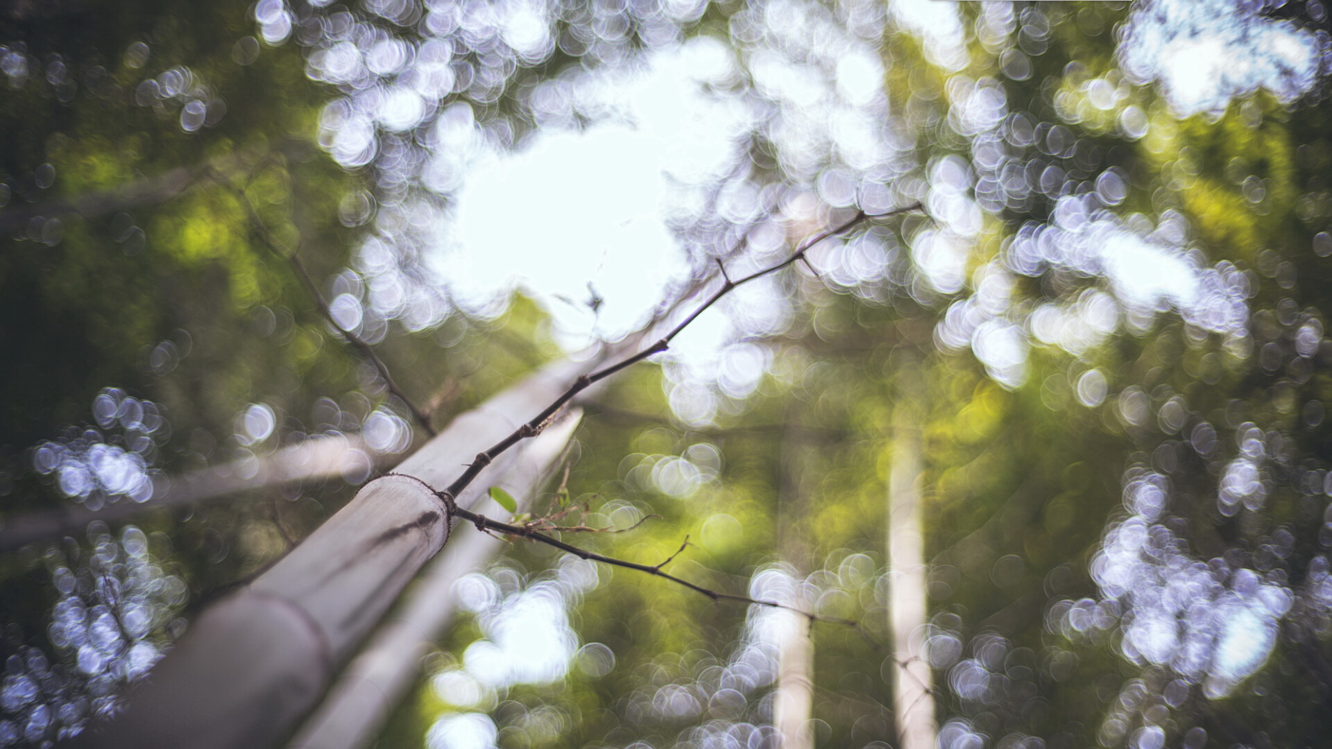 乾杯君的个人主页（背景预览） - 主页背景设置 - 站酷设计师乾杯君原创素材 - 站酷ZCOOL