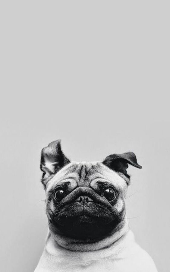 kakazfs的個人主頁（背景預覽） - 主頁背景設置 - 站酷設計師kakazfs原創(chuàng)素材 - 站酷ZCOOL