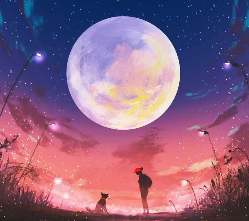 鸿鹄至尊的个人主页（背景预览） - 主页背景设置 - 站酷设计师鸿鹄至尊原创素材 - 站酷ZCOOL