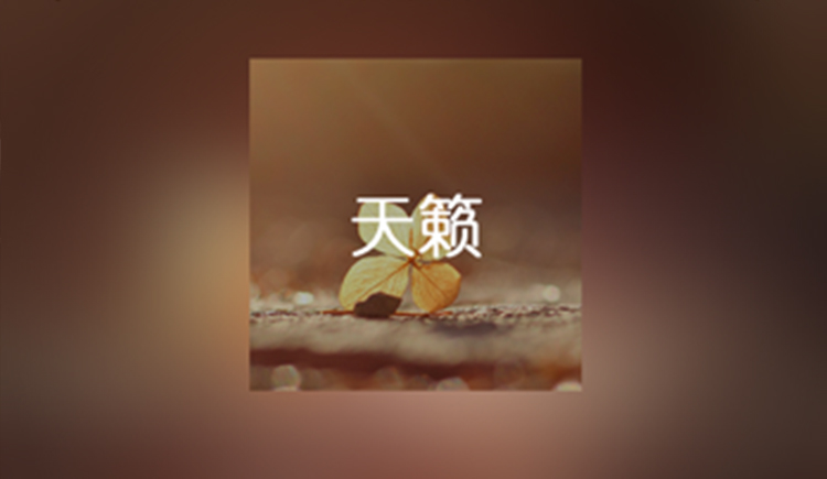 JoyFamili的个人主页（背景预览） - 主页背景设置 - 站酷设计师JoyFamili原创素材 - 站酷ZCOOL