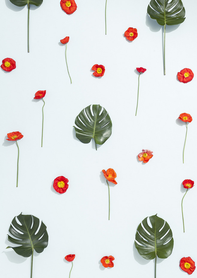 ccdd点点点的个人主页（背景预览） - 主页背景设置 - 站酷设计师ccdd点点点原创素材 - 站酷ZCOOL