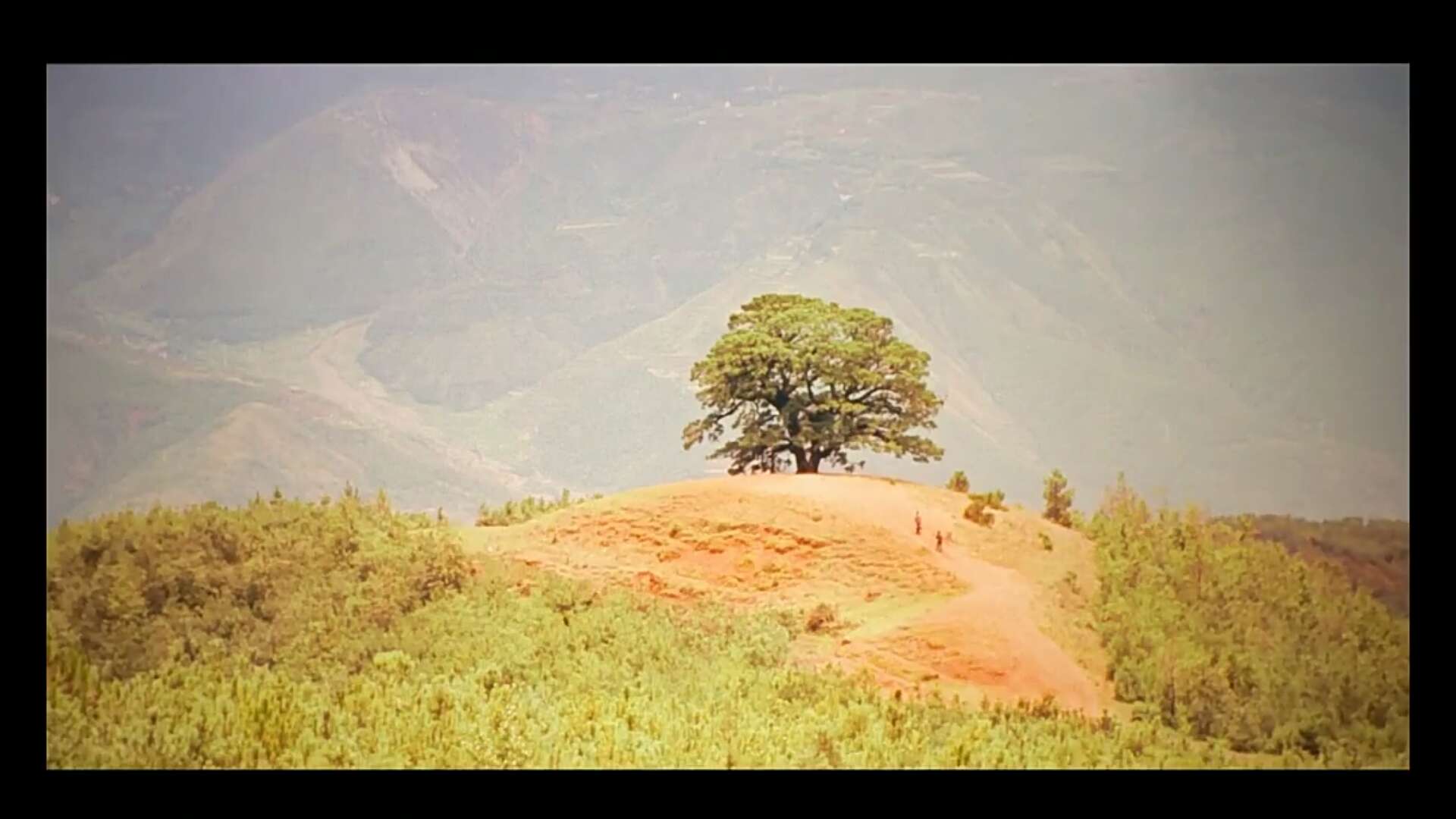 不豆儿的个人主页（背景预览） - 主页背景设置 - 站酷设计师不豆儿原创素材 - 站酷ZCOOL