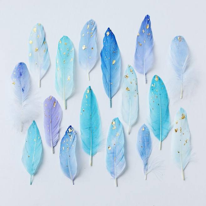 七洋的个人主页（背景预览） - 主页背景设置 - 站酷设计师七洋原创素材 - 站酷ZCOOL