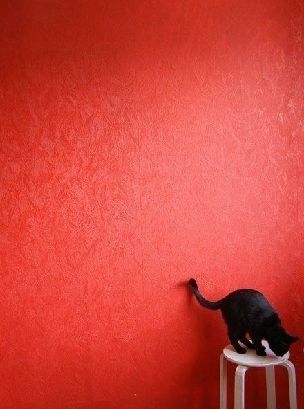 酒彌CY的個人主頁（背景預(yù)覽） - 主頁背景設(shè)置 - 站酷設(shè)計師酒彌CY原創(chuàng)素材 - 站酷ZCOOL