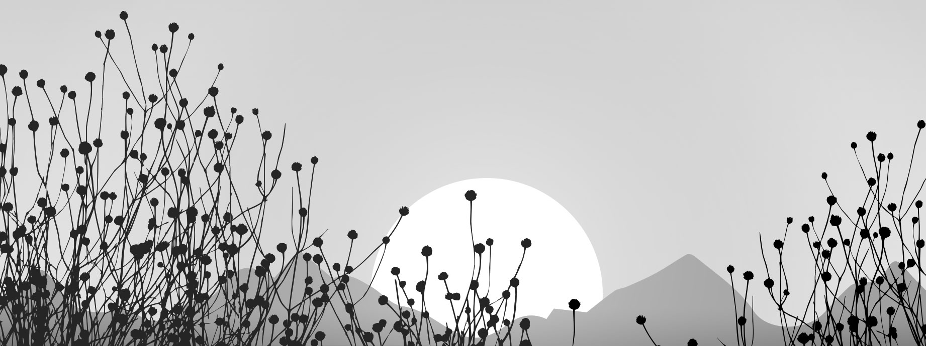 二仔仔的個(gè)人主頁（背景預(yù)覽） - 主頁背景設(shè)置 - 站酷設(shè)計(jì)師二仔仔原創(chuàng)素材 - 站酷ZCOOL