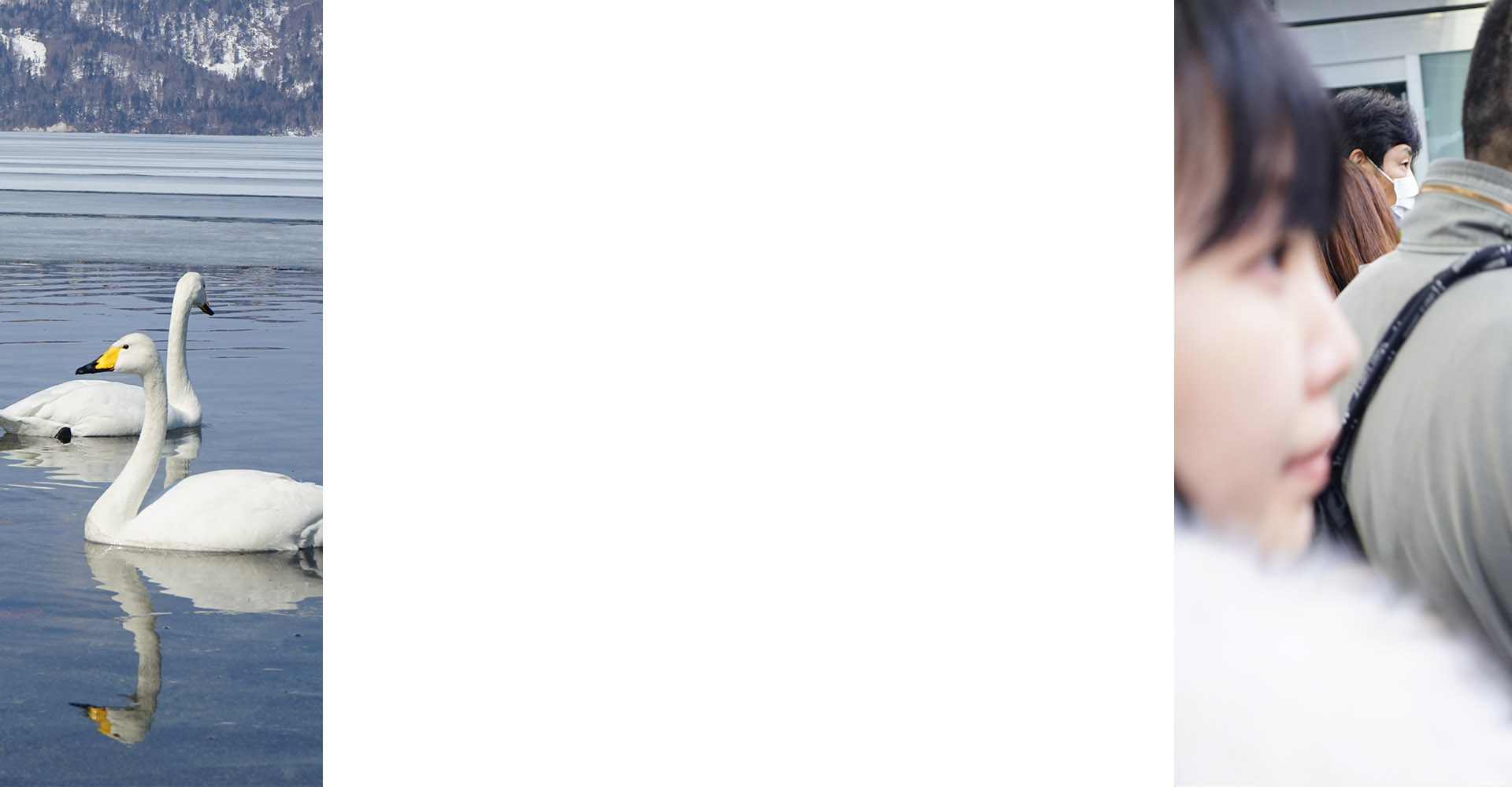 靈魂上惑的個人主頁（背景預覽） - 主頁背景設置 - 站酷設計師靈魂上惑原創(chuàng)素材 - 站酷ZCOOL