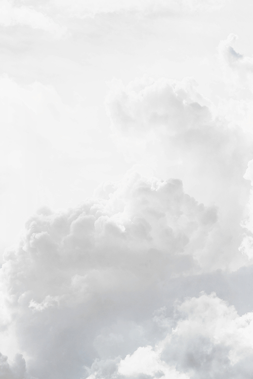 Wendyfish的个人主页（背景预览） - 主页背景设置 - 站酷设计师Wendyfish原创素材 - 站酷ZCOOL