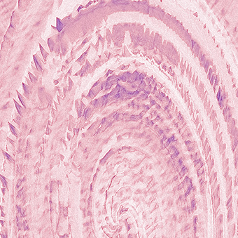 王與王清蓉的個(gè)人主頁(yè)（背景預(yù)覽） - 主頁(yè)背景設(shè)置 - 站酷設(shè)計(jì)師王與王清蓉原創(chuàng)素材 - 站酷ZCOOL