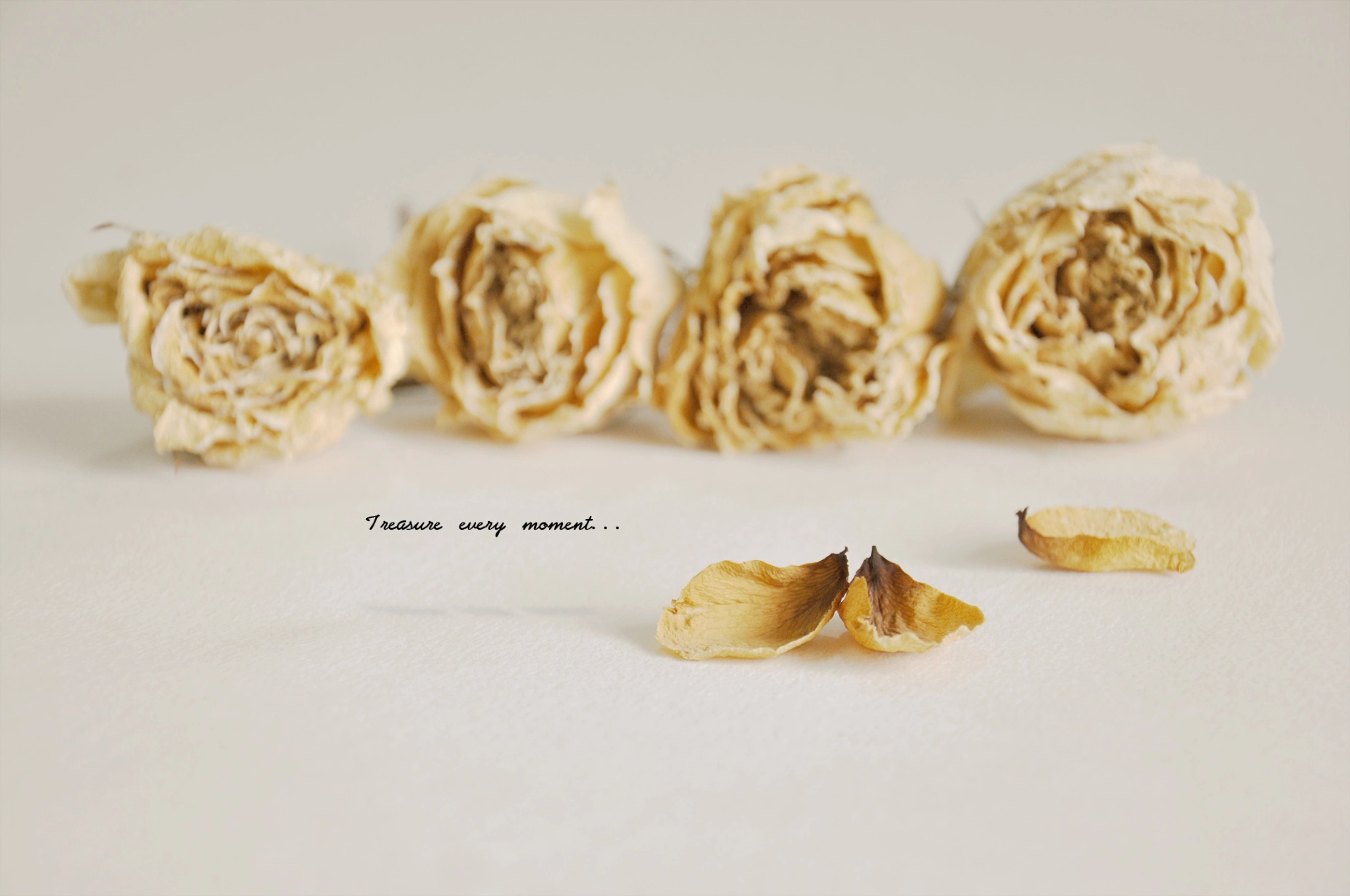 彭彭君的个人主页（背景预览） - 主页背景设置 - 站酷设计师彭彭君原创素材 - 站酷ZCOOL